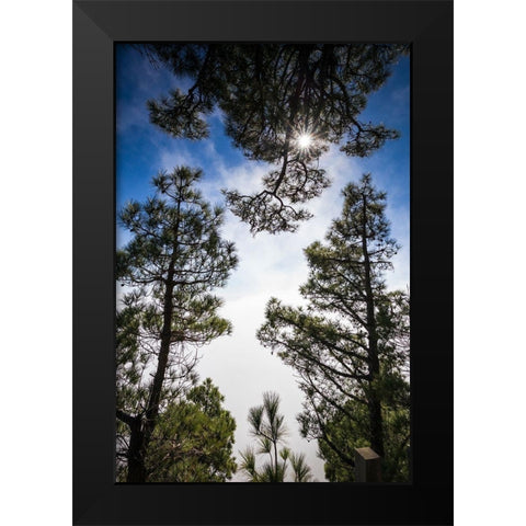 Canary Islands-El Hierro Island-Mirador de las Playas-elevated view of the east coast with fog Black Modern Wood Framed Art Print by Bibikow, Walter