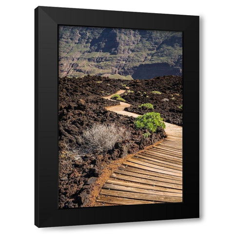 Canary Islands-El Hierro Island-Las Puntas-La Maceta-coastal walkway Black Modern Wood Framed Art Print with Double Matting by Bibikow, Walter