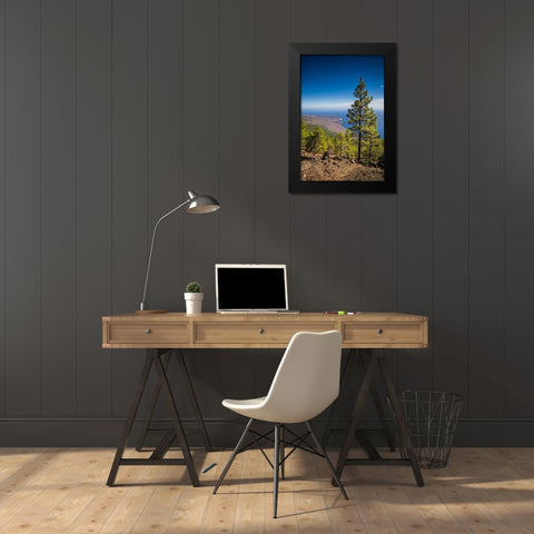 Canary Islands-El Hierro Island-Malpaso Mountain-elevation 1503 meters Black Modern Wood Framed Art Print by Bibikow, Walter