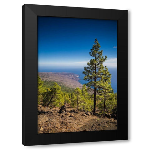 Canary Islands-El Hierro Island-Malpaso Mountain-elevation 1503 meters Black Modern Wood Framed Art Print with Double Matting by Bibikow, Walter