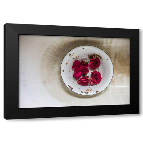 Canary Islands-Tenerife Island-La Orotava-roses in antique dish Black Modern Wood Framed Art Print by Bibikow, Walter