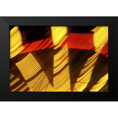 Sweden, Stockholm Rides at  Amusement Park Black Modern Wood Framed Art Print by Ross, Nancy ,  Steve