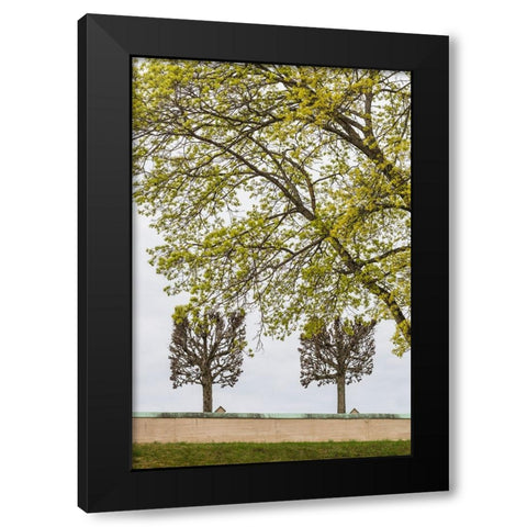 Sweden-Stockholm-trees-early spring Black Modern Wood Framed Art Print by Bibikow, Walter