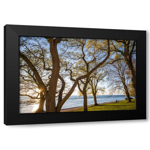 Sweden-Gotland Island-Visby-Strandpromenaden-coastal walkway-sunset Black Modern Wood Framed Art Print with Double Matting by Bibikow, Walter