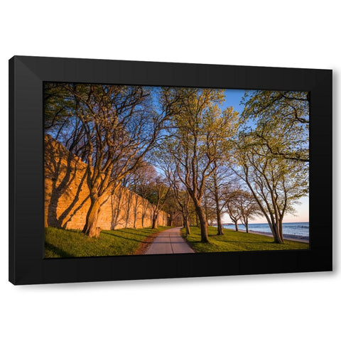 Sweden-Gotland Island-Visby-12th century city wall-most complete medieval city wall in Europe-sunse Black Modern Wood Framed Art Print by Bibikow, Walter