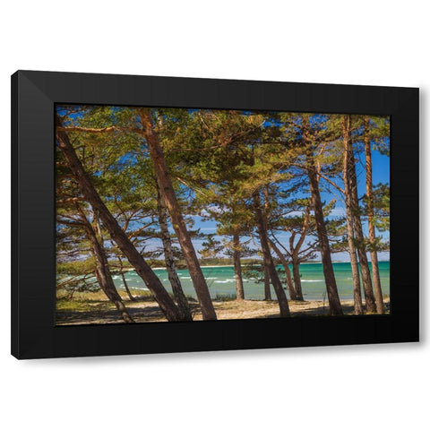 Sweden-Faro Island-Fifang-view of Ajkesvik Bay Black Modern Wood Framed Art Print with Double Matting by Bibikow, Walter