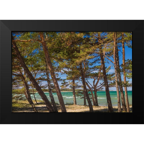 Sweden-Faro Island-Fifang-view of Ajkesvik Bay Black Modern Wood Framed Art Print by Bibikow, Walter