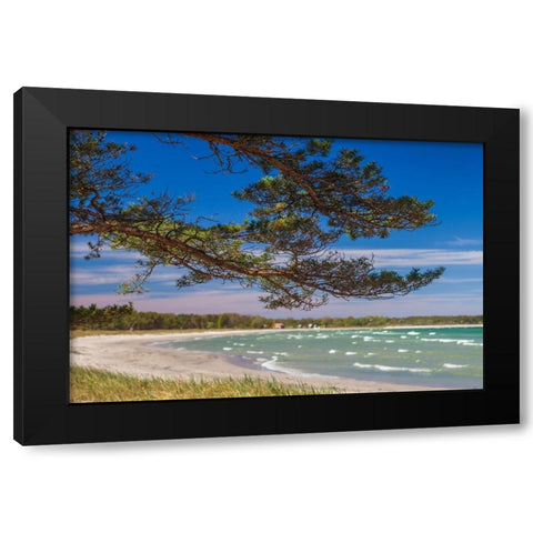 Sweden-Faro Island-Fifang-view of Ajkesvik Bay Black Modern Wood Framed Art Print by Bibikow, Walter