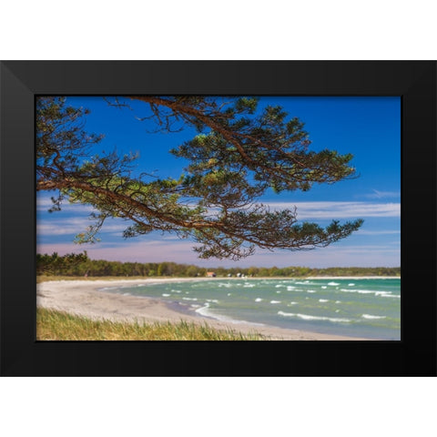 Sweden-Faro Island-Fifang-view of Ajkesvik Bay Black Modern Wood Framed Art Print by Bibikow, Walter