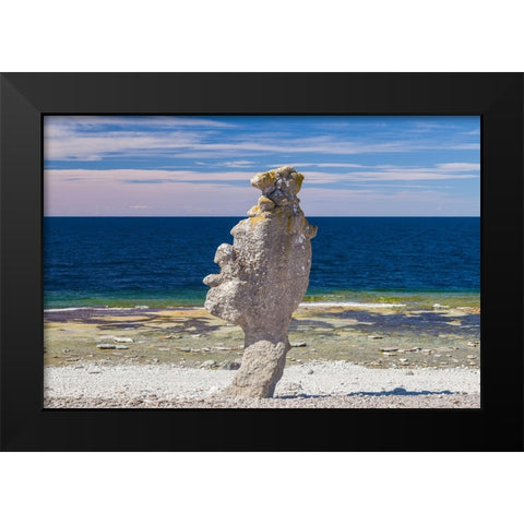 Sweden-Faro Island-Langhammars Area-Langhammar coastal limestone rauk rock Black Modern Wood Framed Art Print by Bibikow, Walter