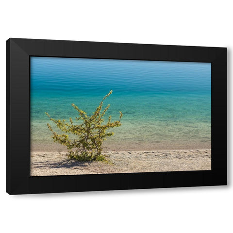 Sweden-Gotland Island-Labro-Bla Lagunen-Blue Lagoon-natural swimming area in former chalk quarry wi Black Modern Wood Framed Art Print by Bibikow, Walter
