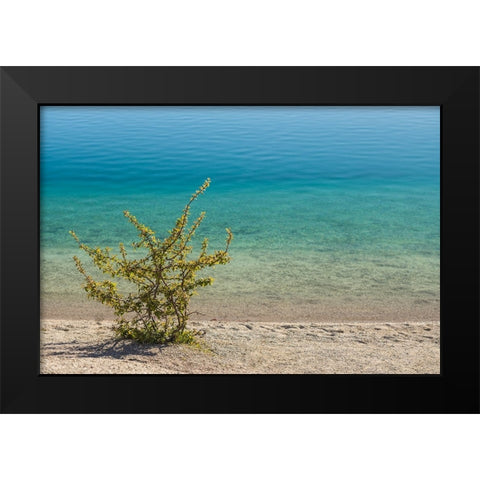 Sweden-Gotland Island-Labro-Bla Lagunen-Blue Lagoon-natural swimming area in former chalk quarry wi Black Modern Wood Framed Art Print by Bibikow, Walter