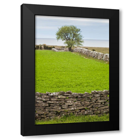 Sweden-Gotland Island-Sundre-stone wall-southern Gotland Black Modern Wood Framed Art Print with Double Matting by Bibikow, Walter