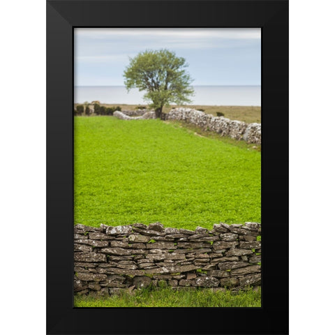 Sweden-Gotland Island-Sundre-stone wall-southern Gotland Black Modern Wood Framed Art Print by Bibikow, Walter
