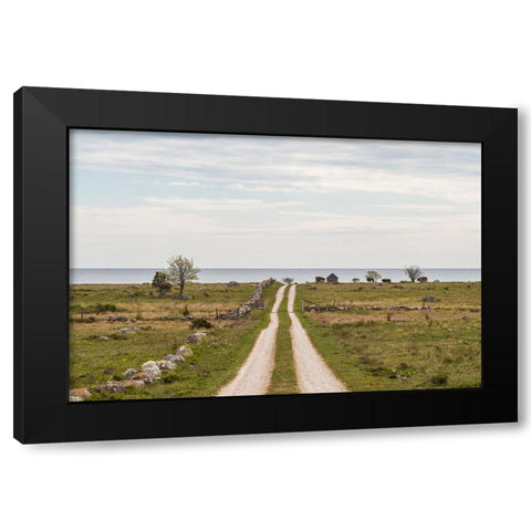 Sweden-Gotland Island-Sundre-country road-southern Gotland Black Modern Wood Framed Art Print by Bibikow, Walter