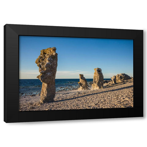 Sweden-Faro Island-Langhammars Area-Langhammar coastal limestone rauk rock-sunset Black Modern Wood Framed Art Print by Bibikow, Walter