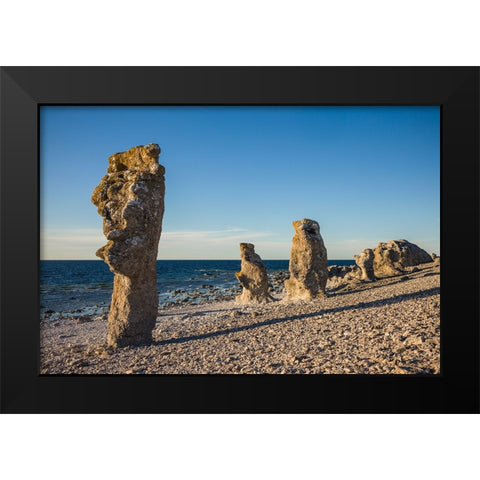 Sweden-Faro Island-Langhammars Area-Langhammar coastal limestone rauk rock-sunset Black Modern Wood Framed Art Print by Bibikow, Walter