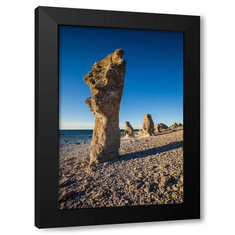 Sweden-Faro Island-Langhammars Area-Langhammar coastal limestone rauk rock-sunset Black Modern Wood Framed Art Print by Bibikow, Walter