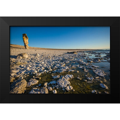 Sweden-Faro Island-Langhammars Area-Langhammar coastal limestone rauk rock-sunset Black Modern Wood Framed Art Print by Bibikow, Walter