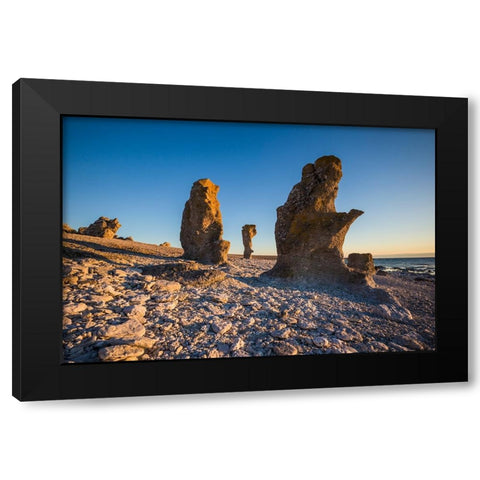 Sweden-Faro Island-Langhammars Area-Langhammar coastal limestone rauk rock-sunset Black Modern Wood Framed Art Print by Bibikow, Walter