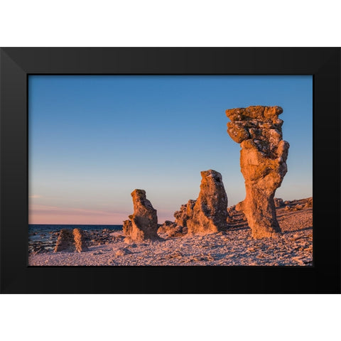 Sweden-Faro Island-Langhammars Area-Langhammar coastal limestone rauk rock-sunset Black Modern Wood Framed Art Print by Bibikow, Walter