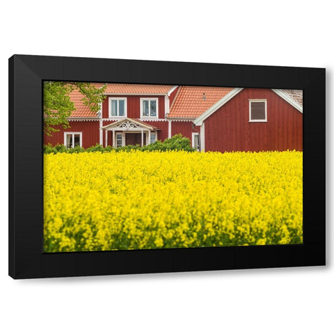 Sweden-Lake Vattern Area-Renstad-farm-springtime Black Modern Wood Framed Art Print by Bibikow, Walter