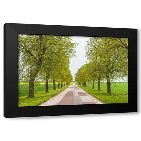 Sweden-Lake Vattern Area-country road-springtime Black Modern Wood Framed Art Print with Double Matting by Bibikow, Walter