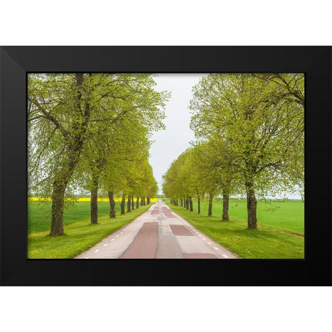 Sweden-Lake Vattern Area-country road-springtime Black Modern Wood Framed Art Print by Bibikow, Walter