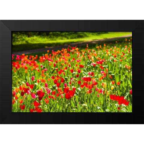 Sweden-Oland Island-Borgholm-Solliden Slott palace-Swedish Royal Family summer palace-palace garden Black Modern Wood Framed Art Print by Bibikow, Walter