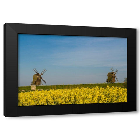 Sweden-Oland Island-Lerkaka-antique wooden windmills Black Modern Wood Framed Art Print by Bibikow, Walter