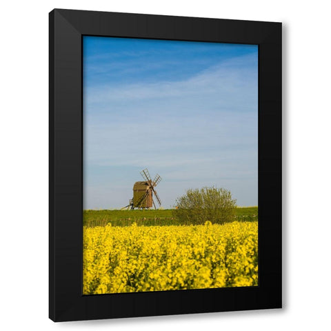 Sweden-Oland Island-Lerkaka-antique wooden windmills Black Modern Wood Framed Art Print by Bibikow, Walter