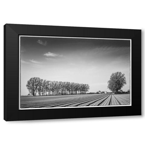 Southern Sweden-Kaseberga-plowed field-springtime Black Modern Wood Framed Art Print by Bibikow, Walter