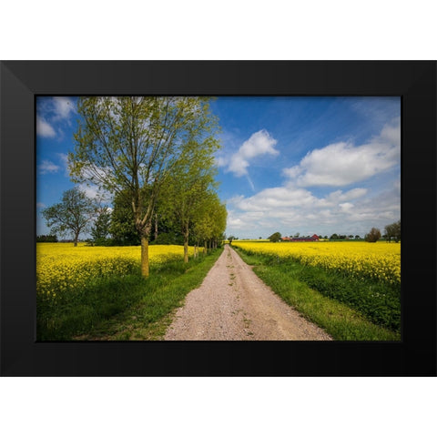 Southern Sweden-Boste lage-country road with yellow flowers-springtime Black Modern Wood Framed Art Print by Bibikow, Walter