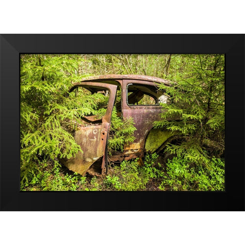 Sweden-Smaland-Ryd-Kyrko Mosse Car Cemetery-former junkyard now pubic park-junked cars Black Modern Wood Framed Art Print by Bibikow, Walter