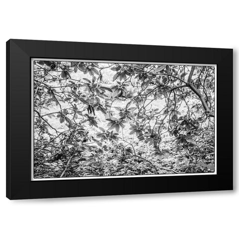 Sweden-Scania-Molle-Krapperups Slott castle-ancient home of the Gyllenstierna family-public garden- Black Modern Wood Framed Art Print by Bibikow, Walter