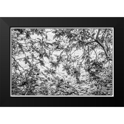 Sweden-Scania-Molle-Krapperups Slott castle-ancient home of the Gyllenstierna family-public garden- Black Modern Wood Framed Art Print by Bibikow, Walter