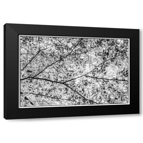 Sweden-Scania-Molle-Krapperups Slott castle-ancient home of the Gyllenstierna family-public garden- Black Modern Wood Framed Art Print with Double Matting by Bibikow, Walter