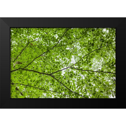 Sweden-Scania-Molle-Krapperups Slott castle-ancient home of the Gyllenstierna family-public garden- Black Modern Wood Framed Art Print by Bibikow, Walter