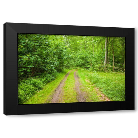 Sweden-Scania-Molle-Krapperups Slott castle-ancient home of the Gyllenstierna family-public garden- Black Modern Wood Framed Art Print by Bibikow, Walter