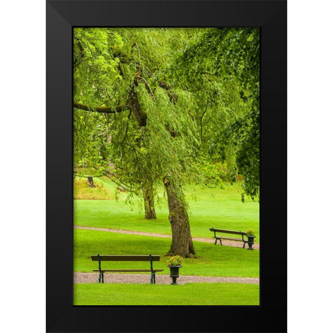 Sweden-Bohuslan-Gustavsberg-Swedens Oldest Resort-village park Black Modern Wood Framed Art Print by Bibikow, Walter