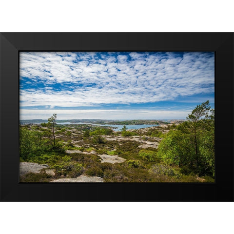 Sweden-Bohuslan-Fjallbacka-the Vetteberget cliff Black Modern Wood Framed Art Print by Bibikow, Walter