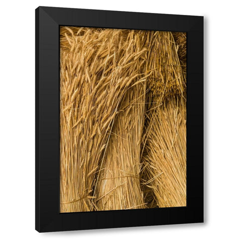 Sweden-Bohuslan-Tanumshede-cut wheat Black Modern Wood Framed Art Print by Bibikow, Walter