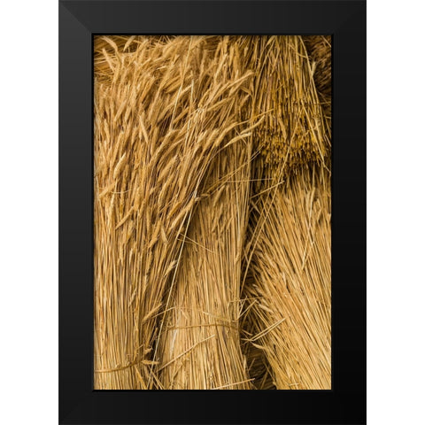 Sweden-Bohuslan-Tanumshede-cut wheat Black Modern Wood Framed Art Print by Bibikow, Walter