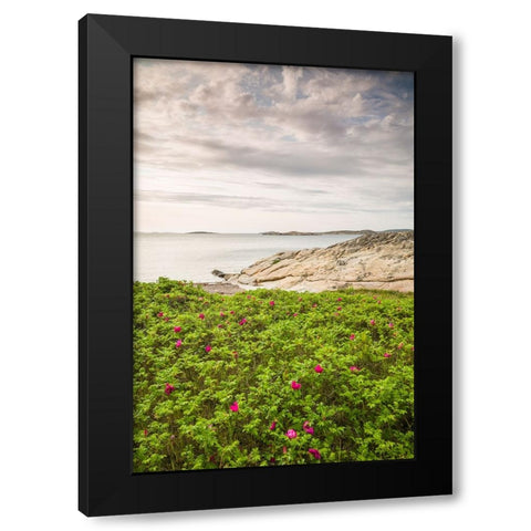 Sweden-Bohuslan-Salto Island-rocky cove seascape Black Modern Wood Framed Art Print with Double Matting by Bibikow, Walter