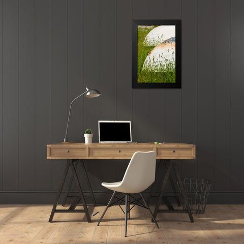 Sweden-Bohuslan-Tjarno Island-Tjarno-small boat Black Modern Wood Framed Art Print by Bibikow, Walter