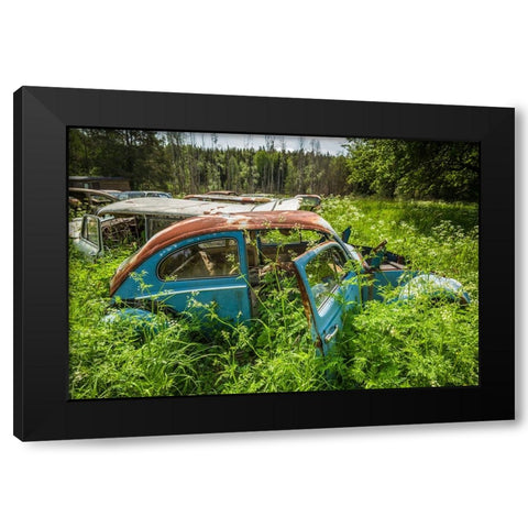Sweden-Varmland-Bastnas-Bastnas Car Cemetery public park-antique car junkyard Black Modern Wood Framed Art Print by Bibikow, Walter