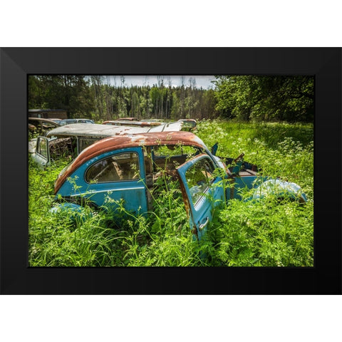 Sweden-Varmland-Bastnas-Bastnas Car Cemetery public park-antique car junkyard Black Modern Wood Framed Art Print by Bibikow, Walter