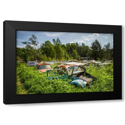 Sweden-Varmland-Bastnas-Bastnas Car Cemetery public park-antique car junkyard Black Modern Wood Framed Art Print by Bibikow, Walter