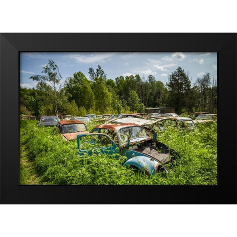 Sweden-Varmland-Bastnas-Bastnas Car Cemetery public park-antique car junkyard Black Modern Wood Framed Art Print by Bibikow, Walter