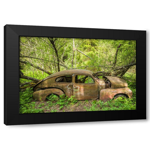 Sweden-Varmland-Bastnas-Bastnas Car Cemetery public park-antique car junkyard Black Modern Wood Framed Art Print by Bibikow, Walter